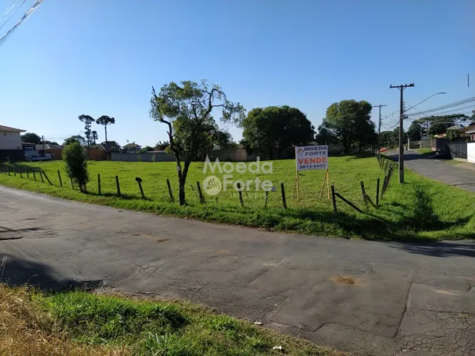 TERRENO, SANTA FELICIDADE/BUTIATUVINHA, 1.144,70 M2, ESQUINA, PLANO, LINDO CAMPO, PARA CON