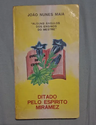 livro Alguns ângulos dos ensinos do mestre
