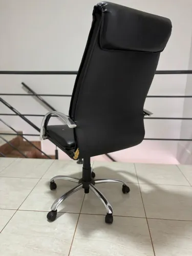 Cadeira diretor, pés e braços em inox, regulagem de altura, amortecedor.
