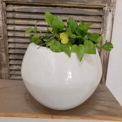 Vaso em fibra de vidro para plantas