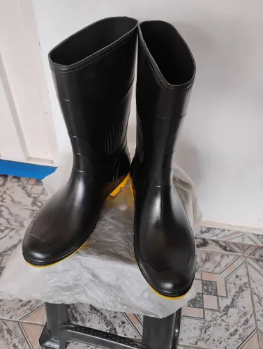 Bota