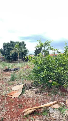 Terreno à venda em Rolândia, Vila Oliveira, com 1880 m²