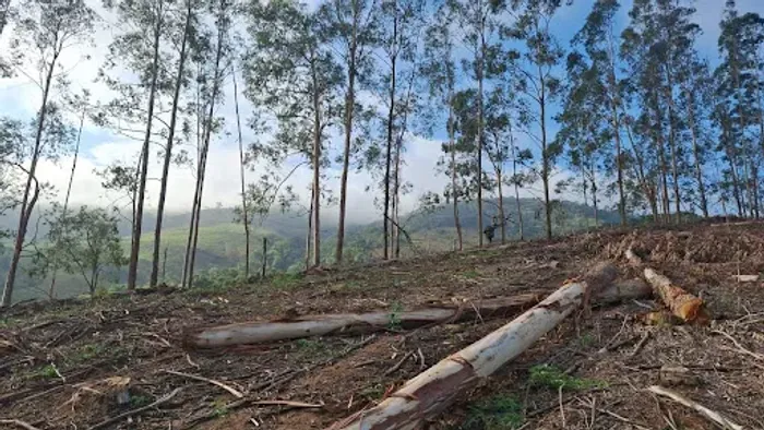 Chácara à venda, 2700 m² por R$ 150.000 - Coutinhos - Congonhal/MG