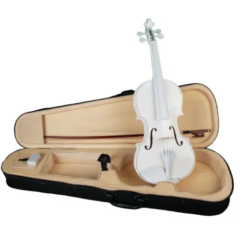 Violino e Terapia: O seu momento de paz e música na semana