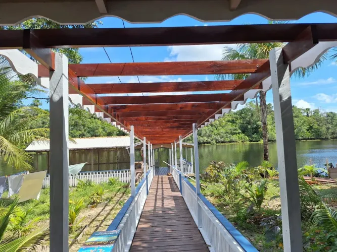 Sítio com muitas plantações 