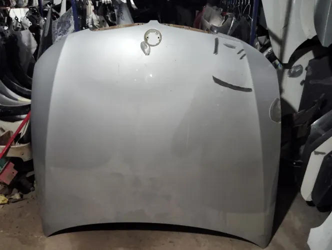 Capô para BMW Série 320i 2008