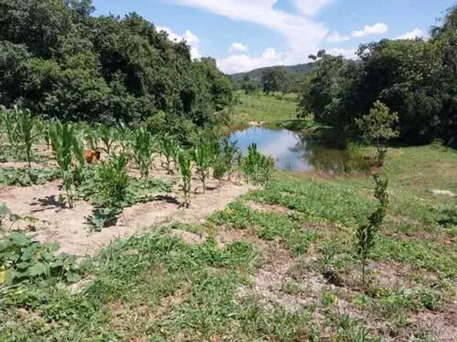 Fazenda em Goianesia