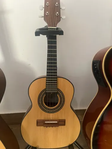 Cavaco Rozini RC10 ELF Estudante (Eletrificado)