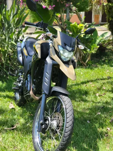 Yamaha Lander BlueFlex ABS 2024