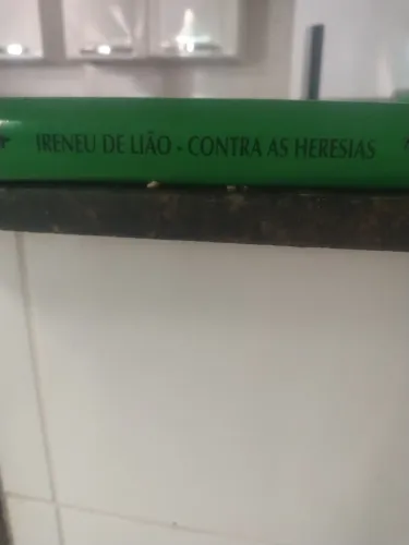 Patrística Irineu de Lion. Vol 4