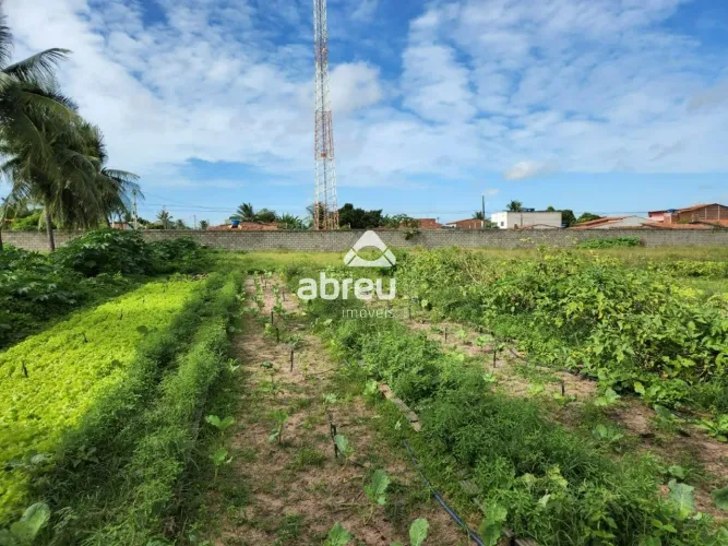 Terrenos Área em Natal