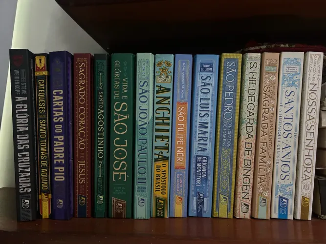 Livros Minha Biblioteca Católica