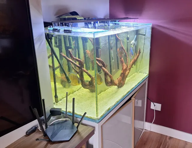 Aquário vidro extra clear 100x55x45 novo vidro 10mm