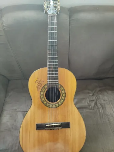 Vendo Viola Tião carreiro
