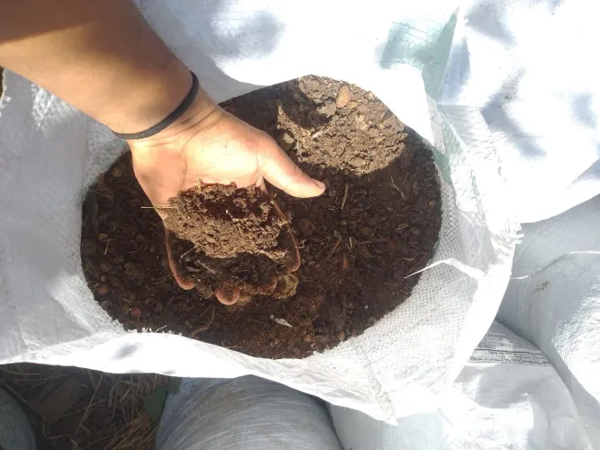 Vendo terra adubos 