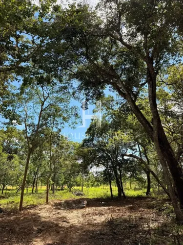 CHÁCARAS ÀS MARGENS DO RIO DOS BOIS | VARJÃO GO