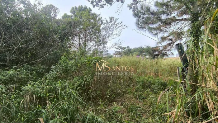 Terreno à venda, 2000 m² por R$ 1.380.000,00 - São João do Rio Vermelho - Florianópolis/SC