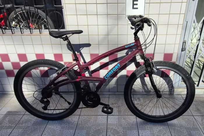 Bicicleta