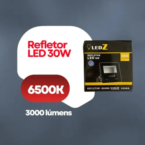 Refletor LED 30W 6500K IP66