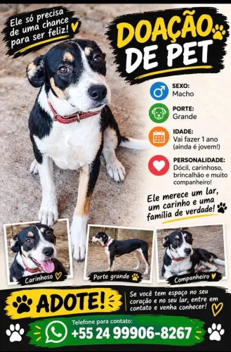 Doação de PET