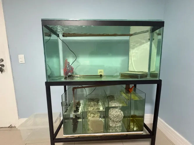 Aquário 200 litros + Sump