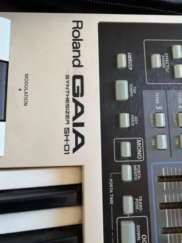 Teclado Sintetizador Roland Gaia SH-01