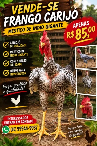 Frango caipira