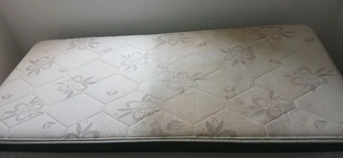 Higienização de estofados
