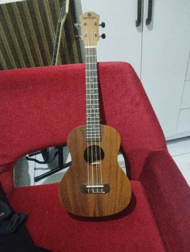 Ukulele Harmonics