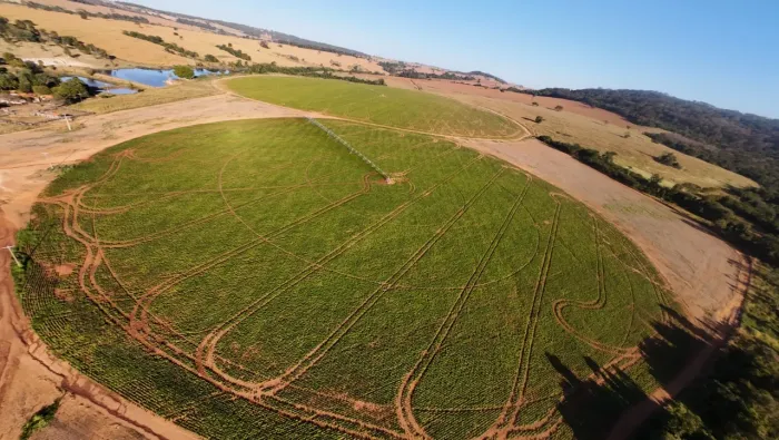 Fazenda à venda 68 alq com 7 pivôs em Morrinhos-GO