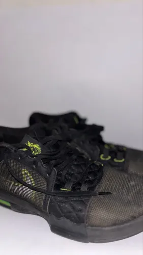 lebron witness 8