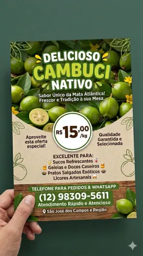 Vendo cambuci 