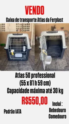 Caixa de Transporte Aéreo para Pets