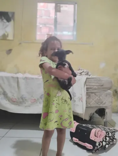 Cachorro 