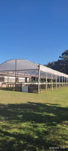 Excelente chácara com produção de morango na Região de Quitandinha/Agudos do Sul-PR 