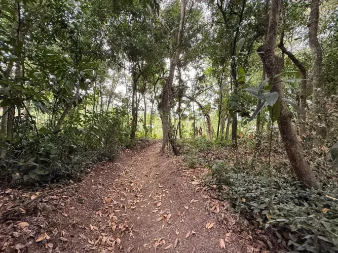 TERRENO 3.600m² Cachoeiras de Macacu