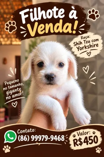 Cachorro de raça deixo até por 400