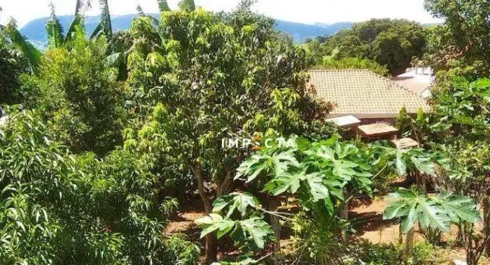 Chácara com 3 dormitórios à venda, 1000 m² por R$ 380.000 - Primavera - Congonhal/MG