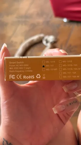 Kit 13x Interruptor Inteligente Smart Switch Wi-Fi MS-101 (Tuya / Alexa / Google)