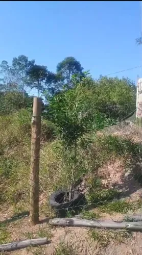 Vendo terreno ou troco