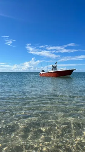 LANCHA FISH WR 17 PÉS - PRONTA PARA A PESCA! ?