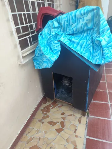 Casinha de cachorro uma grande (madeira) outra pequena.