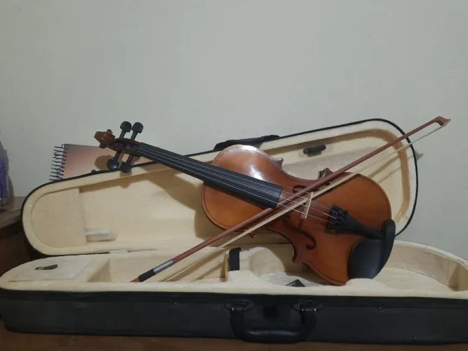 Violino profissional , decada 11 com cordas mauro calixto ,bem conservado e novo