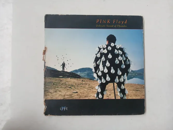 Pink Floyd Delicate Sound Of Thunder vinil lp leia o anúncio e veja as fotos