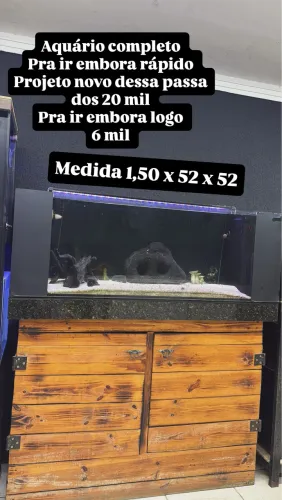 Aquário