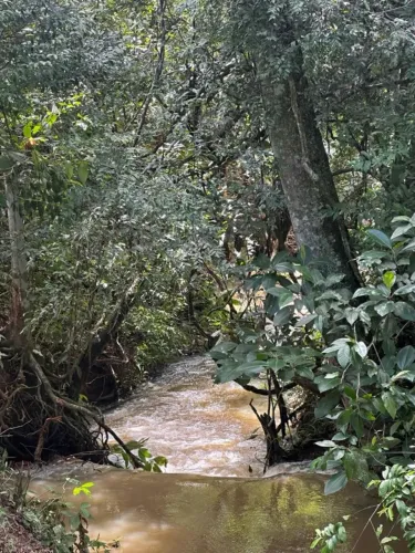 condomínio de chácaras em Aragoiania com terrenos de 1000 metros