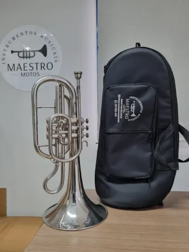 Melofone Weril Junior Mib - Parcelo no cartão - Envio p/ todo Brasil - OLX PAY