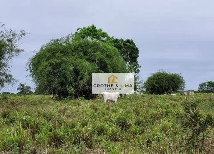Ativo Rural Estratégico em Rondonópolis  Dupla Aptidão e Forte Valorização