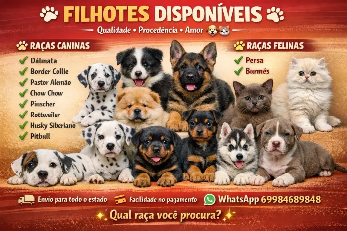 Filhotes raças 