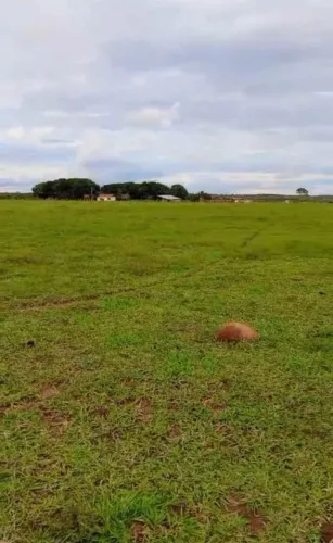 Fazenda de arrendamento soja, 1.700hec em pasto, em Juara MT.
